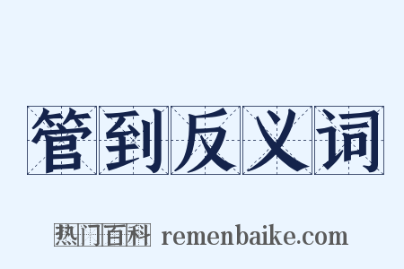 管到反义词是什么意思的图片